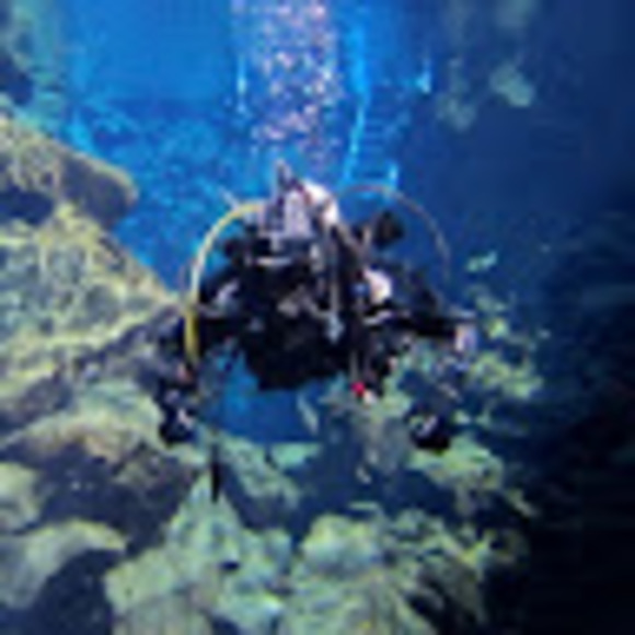 Meet your Posher, Nicolas - Picture 1 of 1